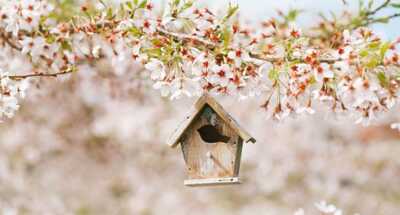 20190327-Share-KCM-549x300.jpg