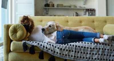 Share-STM-549x300.jpg
