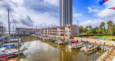 12view_web 12view_web