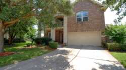 13634 Cotton Wood Dr