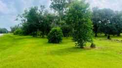 375 Thousand Oaks Dr