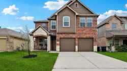 3022-Bugatti-Dr_web 3022 Bugatti Dr